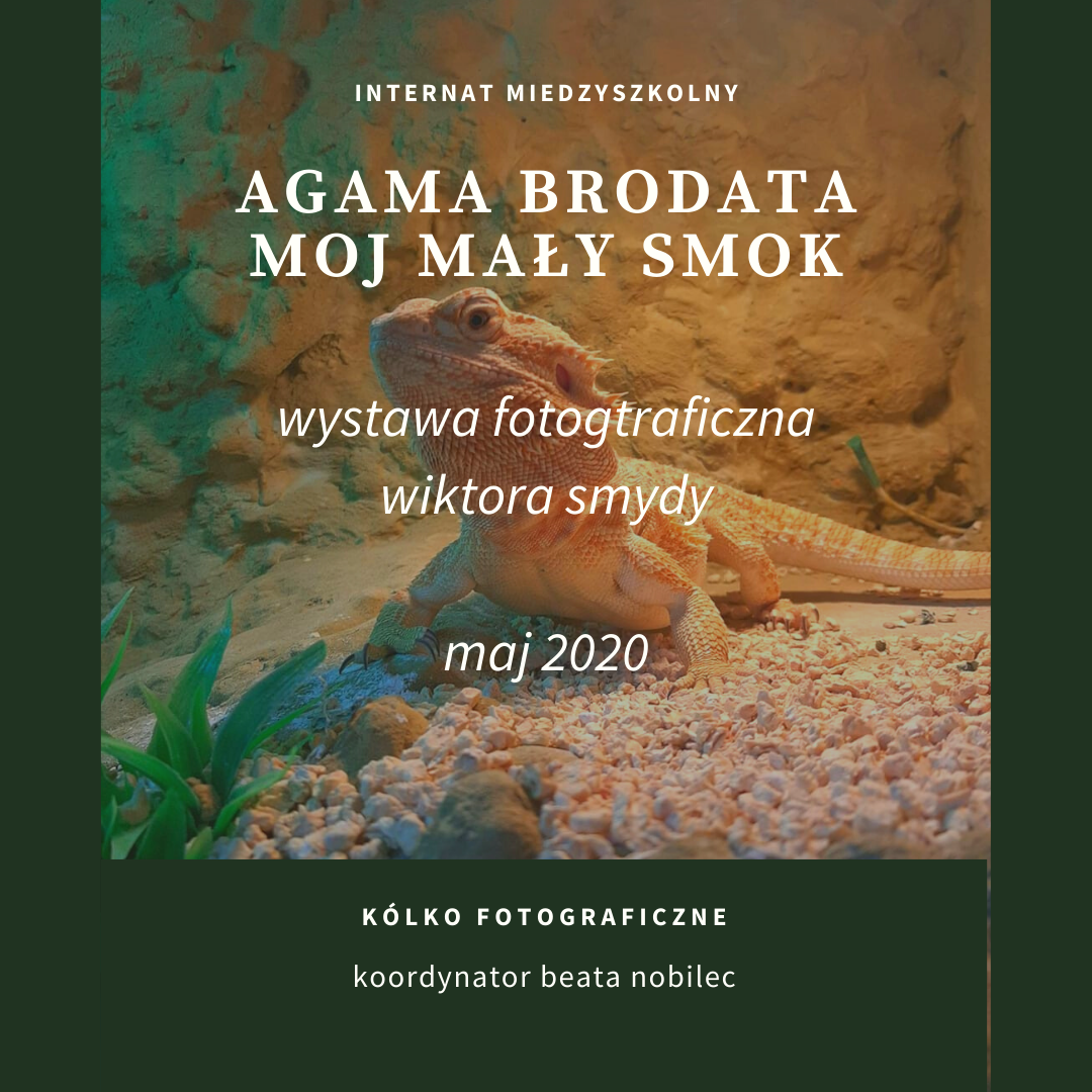 WYSTAWA FOTOGRAFICZNA WIKTORA SMYDY #zostanwdomu